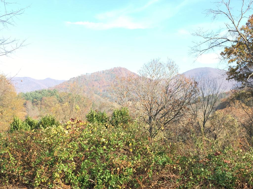 Serenity Views Bungalow - Close To City And Parkway! Βίλα Weaverville Εξωτερικό φωτογραφία